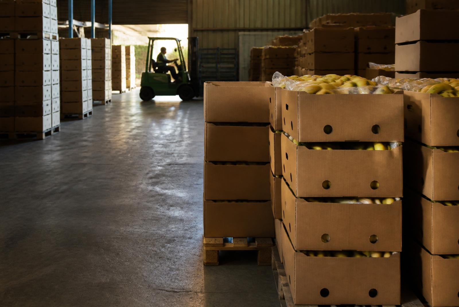 Bodega con cajas de plátano paletizadas y montacargas